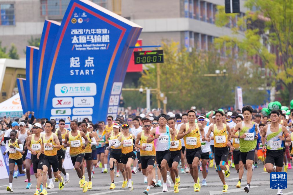 享受娱乐的不一样快乐案例展示