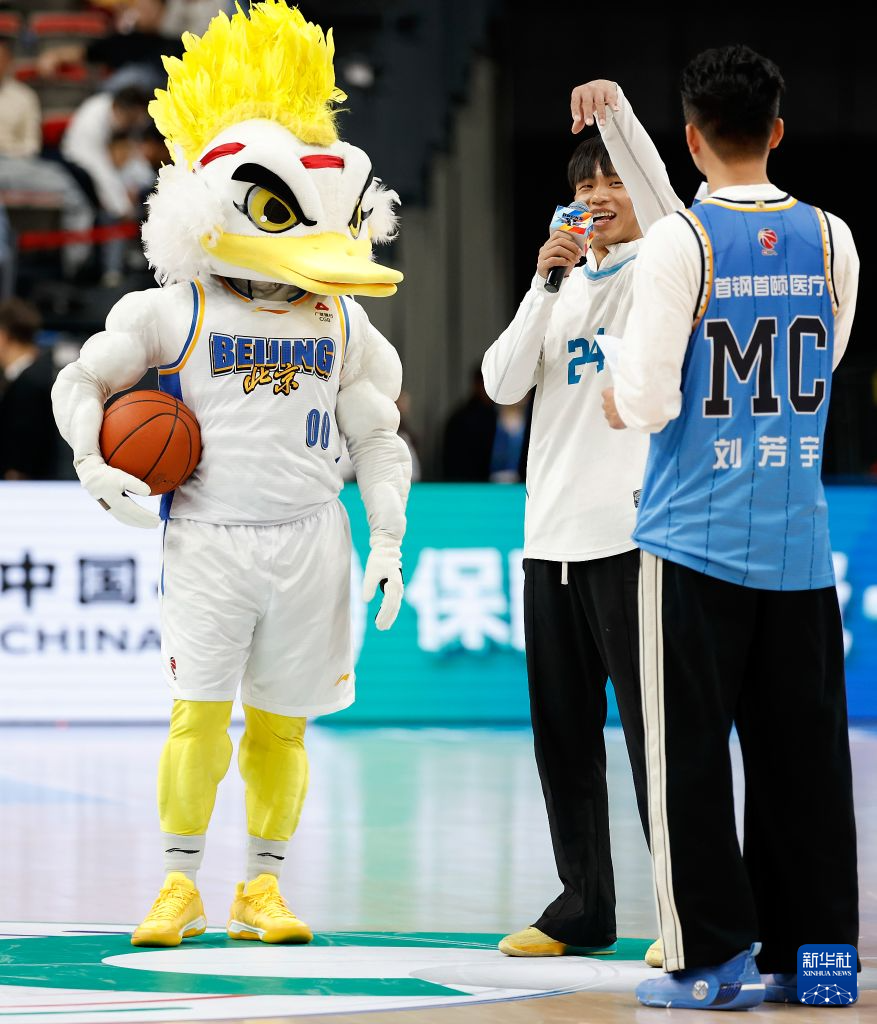 专业金狮贵宾会服务