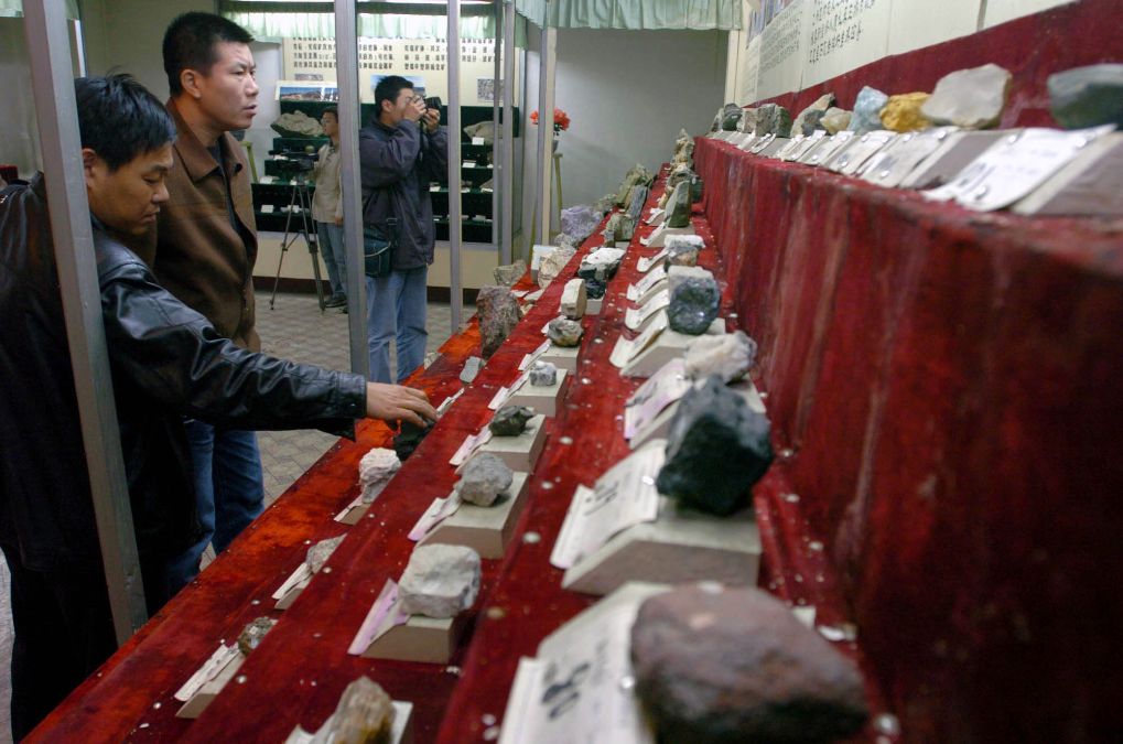 金狮贵宾会产品图片