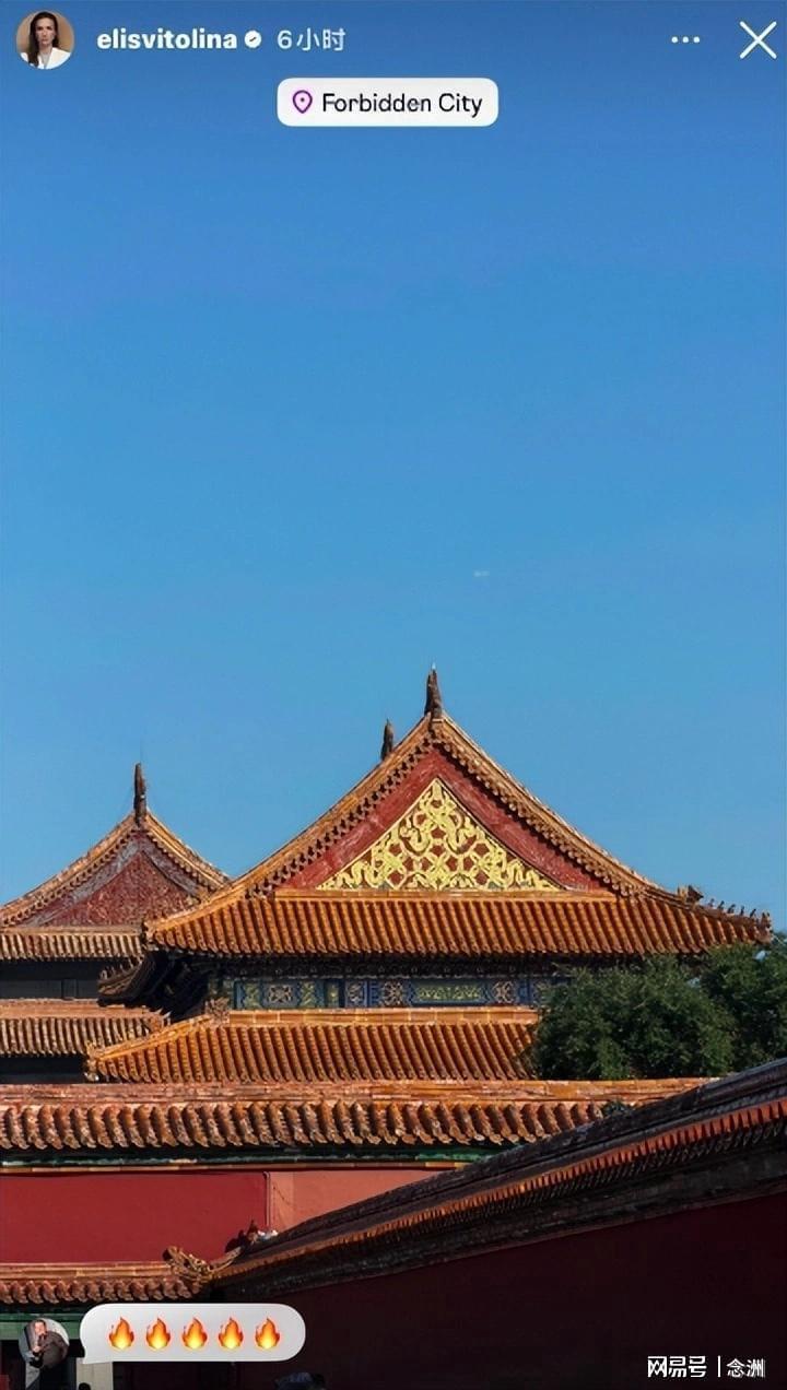 了解金狮贵宾会