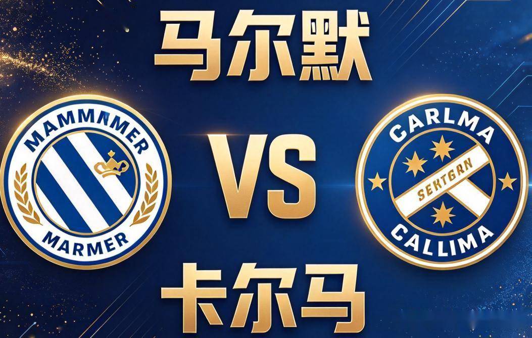 金狮贵宾会详情图